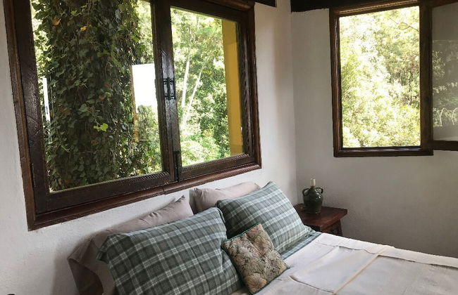 Pet Friendly Casa Studio in the Woods - Photo 4