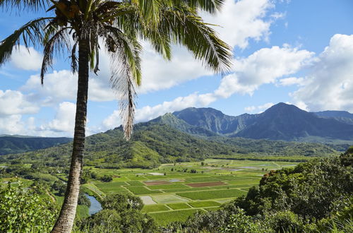 Foto 75 - The Cliffs at Princeville