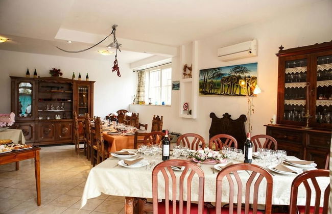 Artisti del Cavallo Tourism - Foto 13