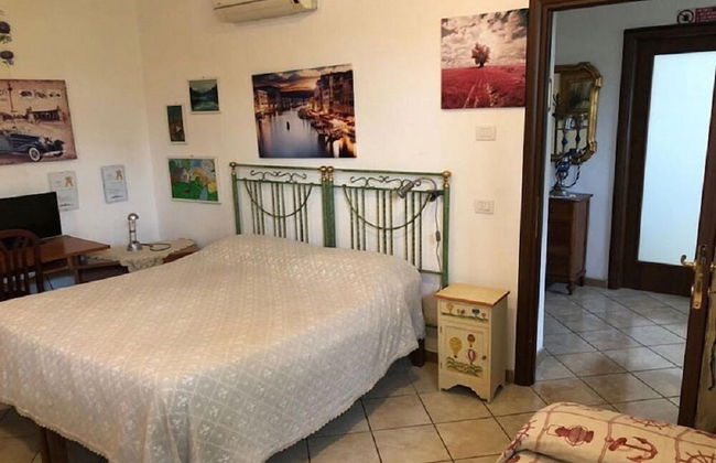 Artisti del Cavallo Tourism - Foto 4