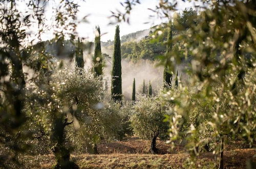 Photo 33 - Luxury 6-bed Tuscan Villa Near Lucca and Florence