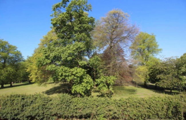 17G Regent Place - Photo 31