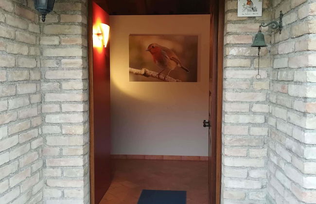 Agriturismo Il Pettirosso - Photo 20