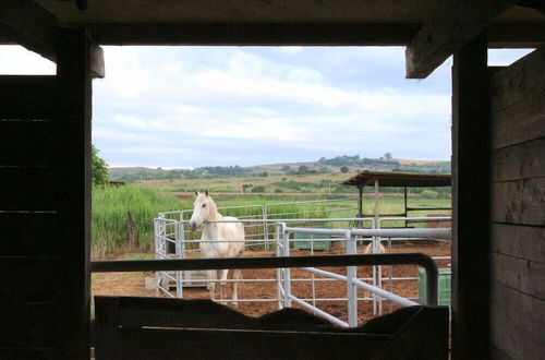 Foto 48 - Agriturismo gli Etruschi