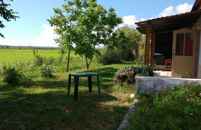 Termas da Azenha - Foto 53
