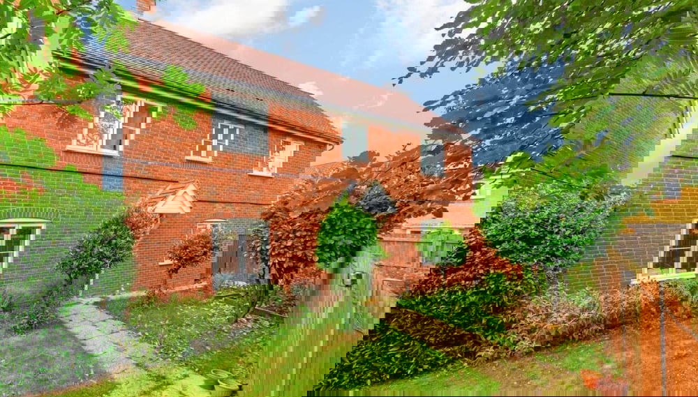 Imagem principal