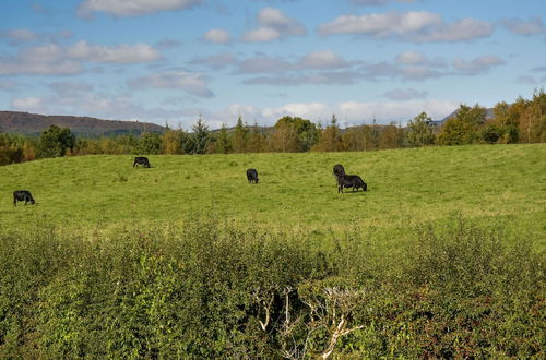 Foto 50 - Cardross Estate Holiday Cottages