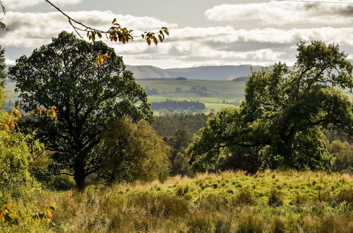 Photo 69 - Cardross Estate Holiday Cottages