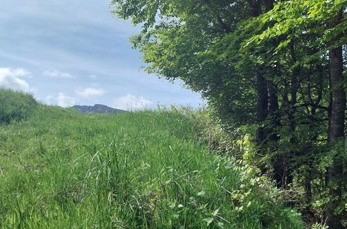 Foto 75 - VVF Le Lioran Les Monts du Cantal, Saint Jacques des Blats