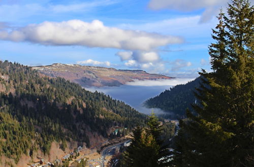 Foto 60 - VVF Le Lioran Les Monts du Cantal, Saint Jacques des Blats