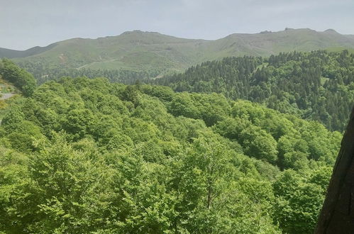 Foto 76 - VVF Le Lioran Les Monts du Cantal, Saint Jacques des Blats