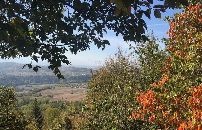 Studio in Bastia Mondovi With Pool and Winery - Foto 22