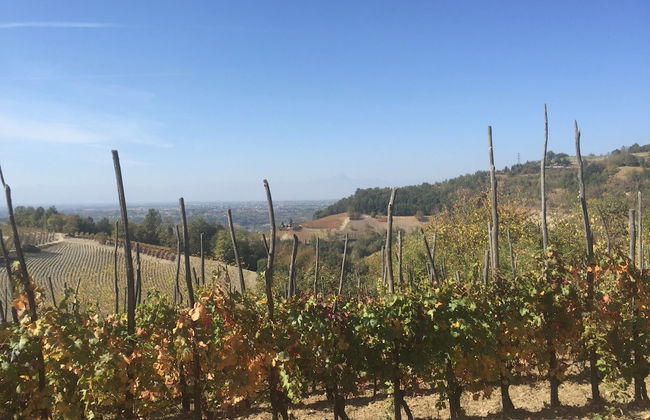 Studio in Bastia Mondovi With Pool and Winery - Foto 19