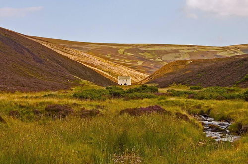 Photo 16 - Stylish 3-bed Cottage Located in the Cairngorms