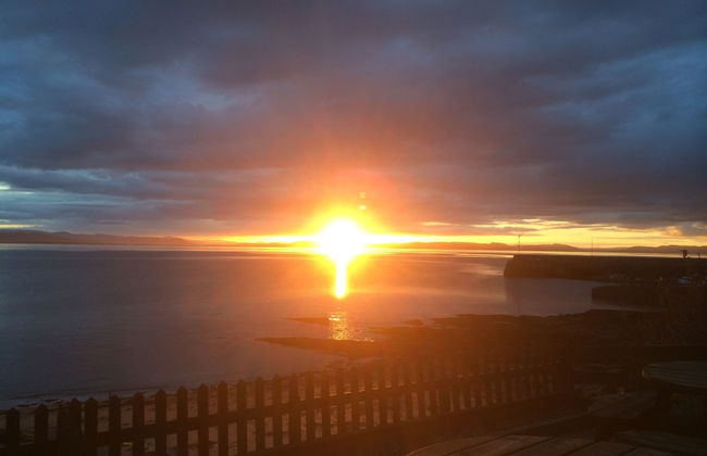 Petfriendly-beachfront-sunsetfacingsunporch-garden - Photo 22