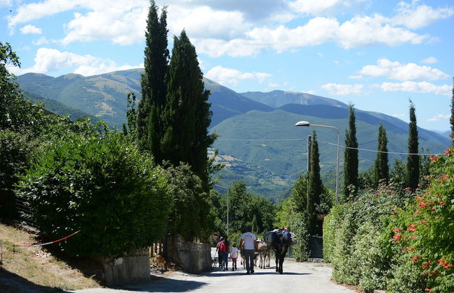 Campagna in Compagnia - Foto 29