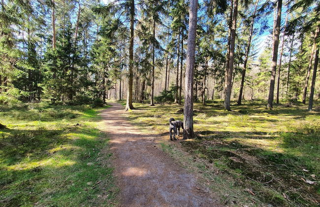 FeWo-Schuberski - Foto 20
