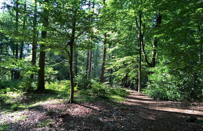 FeWo-Schuberski - Foto 18