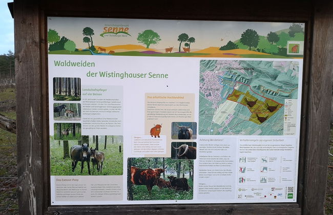 FeWo-Schuberski - Foto 19