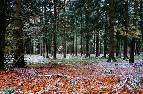 Photo 33 - Holiday Home Near the ski Area in Winterberg