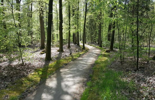 Holiday Home in Uelsen Near Bronzezeithof - Foto 26