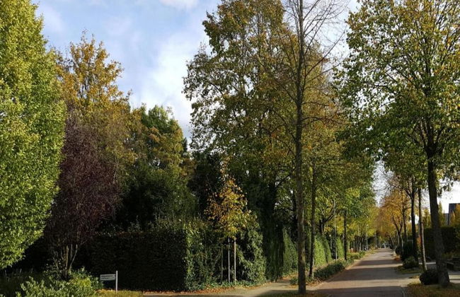 Holiday Home in Uelsen Near Bronzezeithof - Foto 39