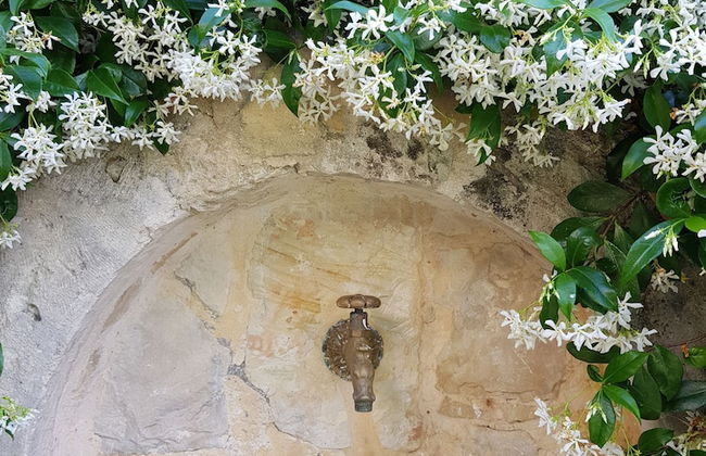 Traditional Ioannis Cottage...luxurious & Rustic With Ecological Heated Pool !!! - Photo 20