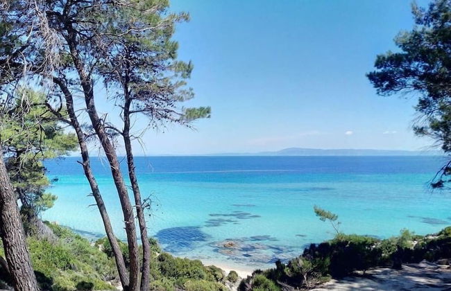 Beachfront house with amazing sea view - Foto 23