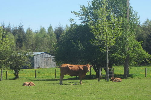 Foto 19 - Delightful Holiday Home With Meadow View