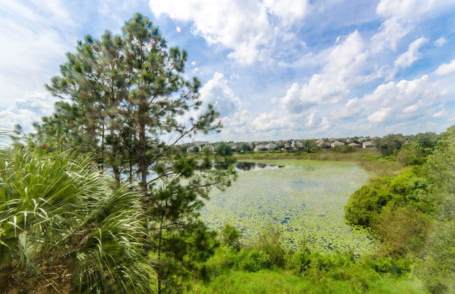 Lakeview Gardens - Foto 42