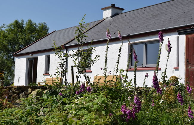 The Song House - Foto 11