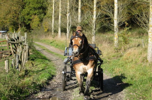 Photo 33 - Independant Gite at the Calm way in the Center