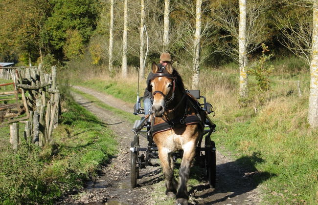 Gite at the Calm way in the Center - Foto 41