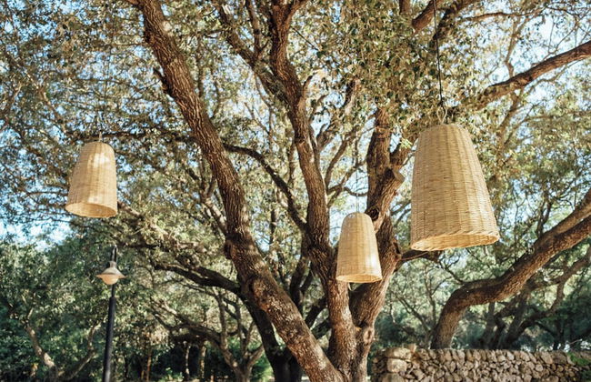 Hotel Rural Sant Ignasi - Foto 16