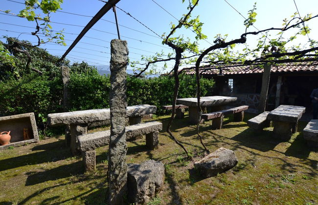 Quinta da Aldeia - Foto 49