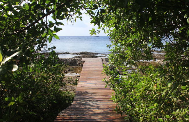 Great Condo in Cozumel OCEAN FRONT D10 - Foto 14