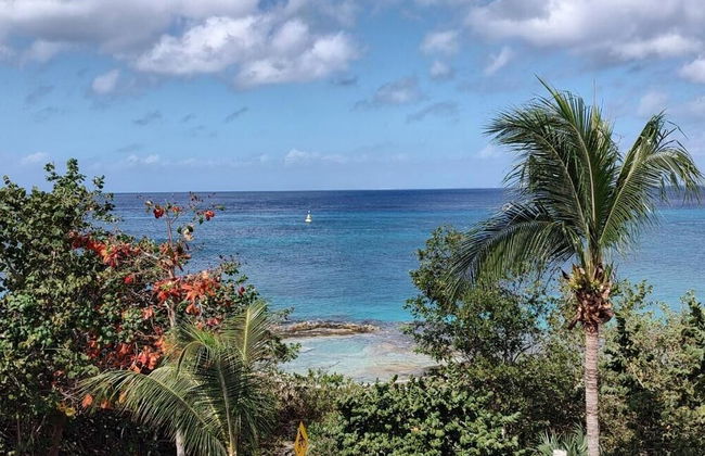 Great Condo in Cozumel OCEAN FRONT D10 - Foto 12