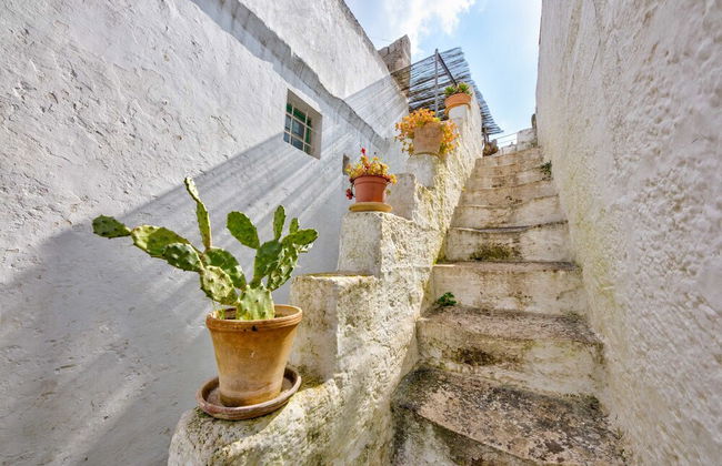 Minimasseria in Centro Storico - Foto 17