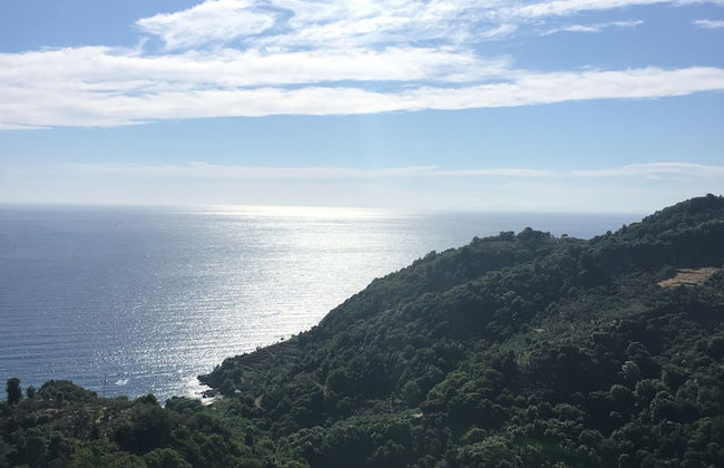 Villa Thea - Photo 34