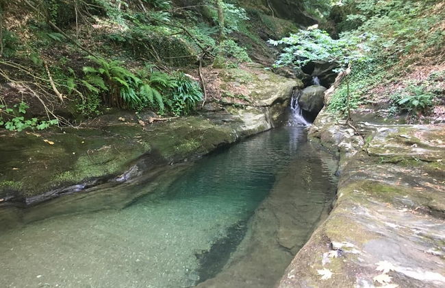 Villa Thea - Photo 16