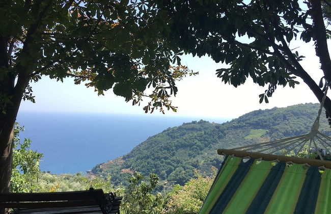 Villa Thea - Photo 28