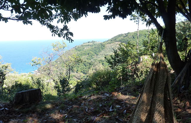 Villa Thea - Photo 27