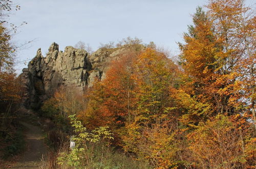 Foto 30 - Charming Holiday Home Near the Sauerland ski Area