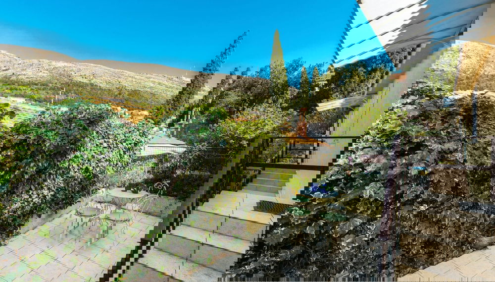 Imagem principal