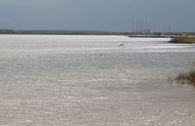 Wohnung in Wiek Nahe Juliusruh Strand - Photo 34