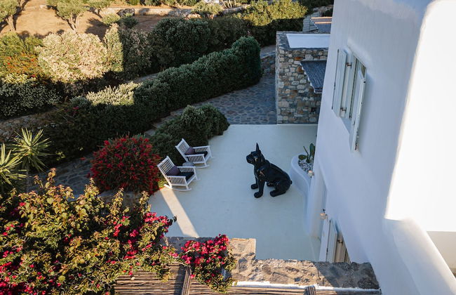 El Sueno Villa Mykonos - Foto 63