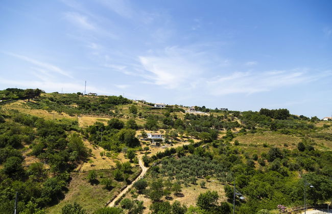 Il Pieddo - Photo 15