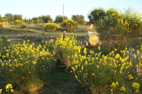 Photo 23 - Agriturismo Il Grillo Parlante