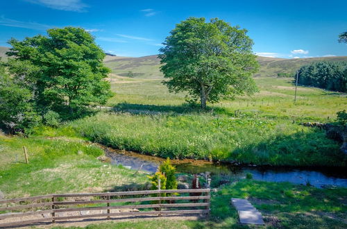 Photo 49 - Castleview - Newton Steading