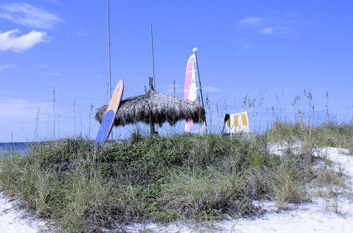 Foto 20 - Anna Maria Island Beach Palms 8B